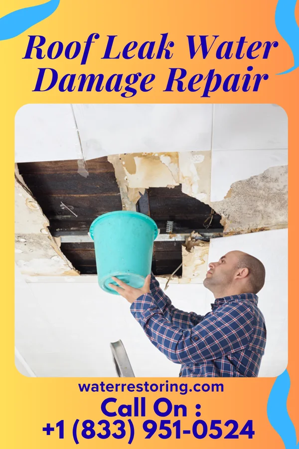 Roof Leak Water Damage Repair in Beaverton, MI