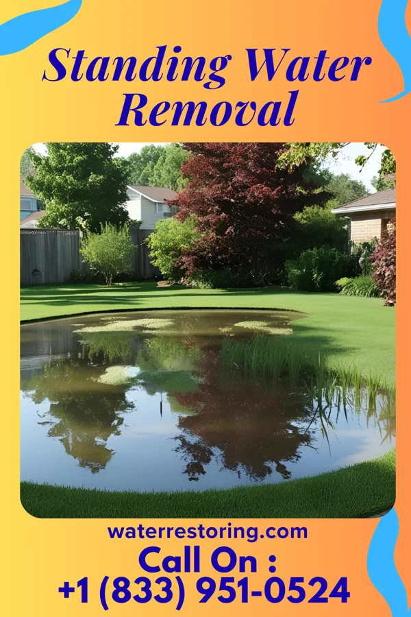 Standing Water Removal in Beaverton, MI